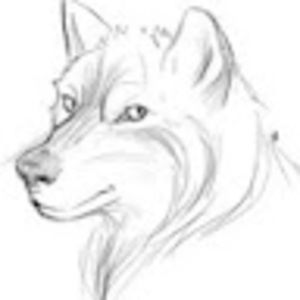 Meet your Posher, Danny